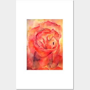 Watercolor Rose Posters and Art